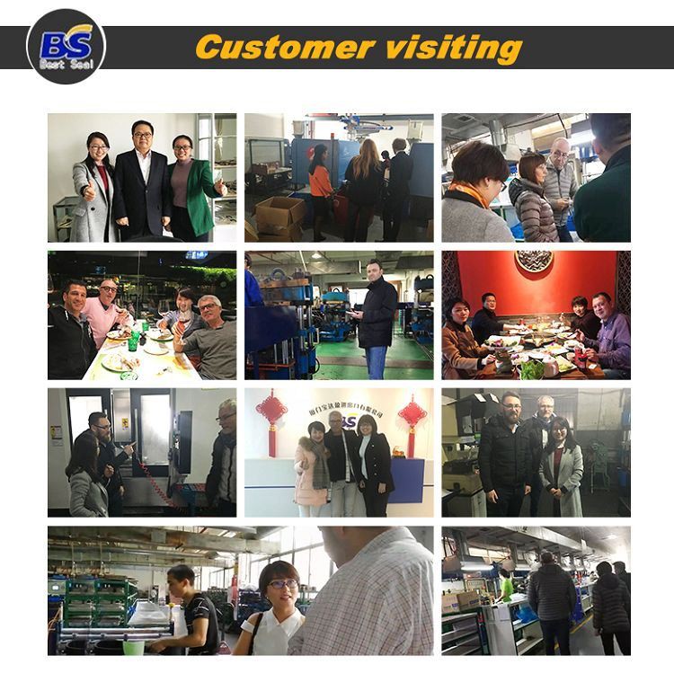 customer visit(001)